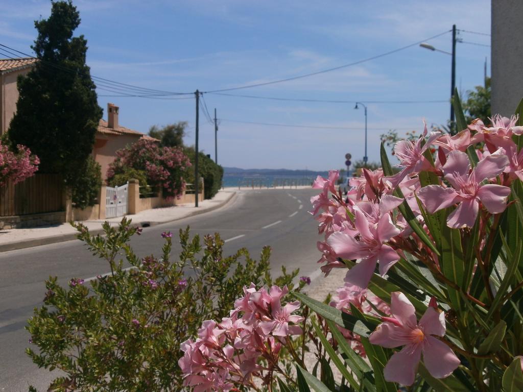 Hotel Le Calypso Hyeres Bagian luar foto